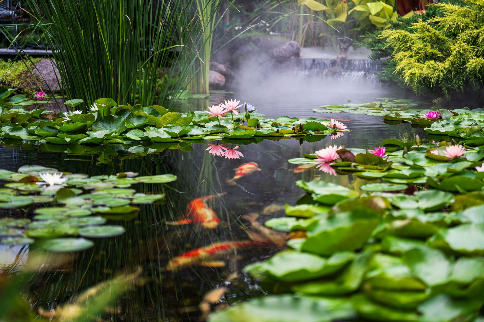 Vijver met waterval